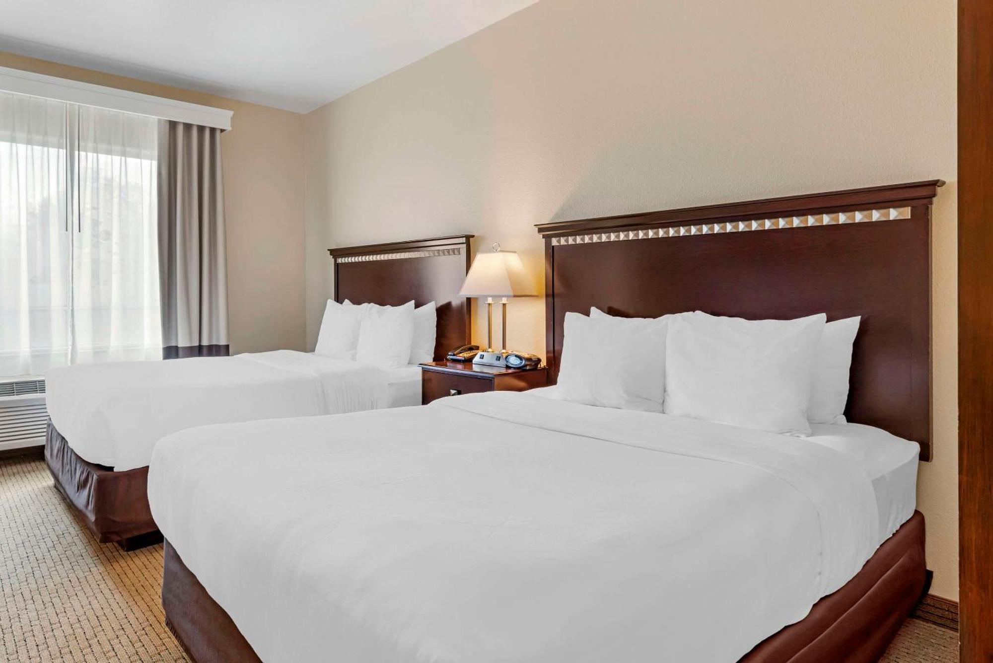 Comfort Suites Palestine Bagian luar foto