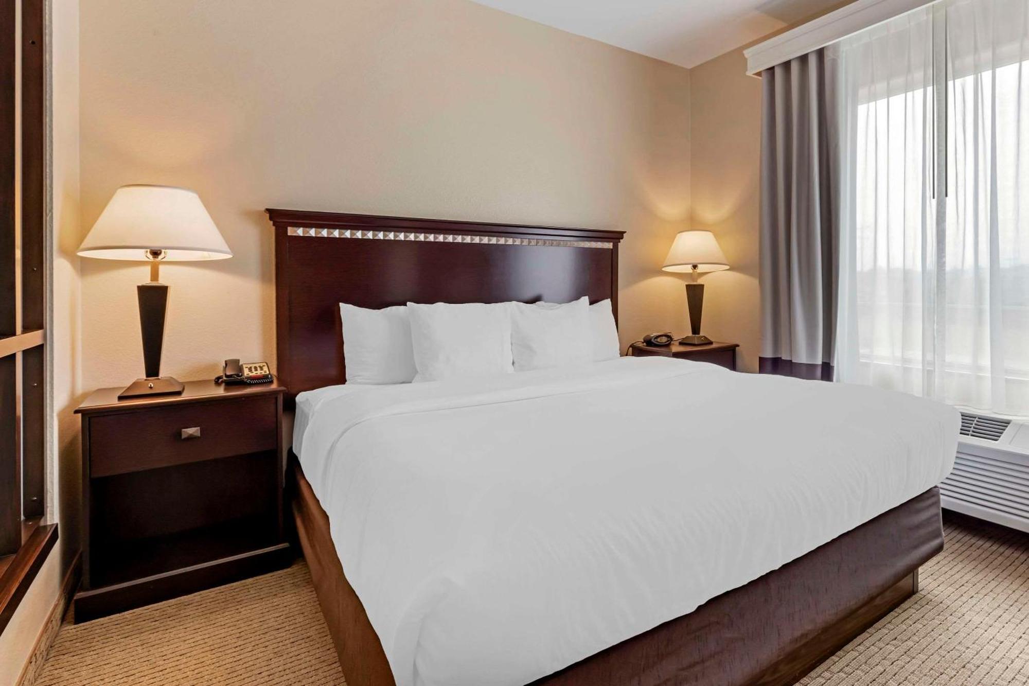 Comfort Suites Palestine Bagian luar foto